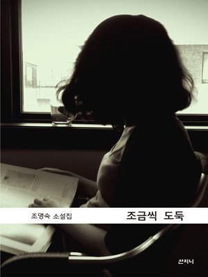 cover image of 조금씩 도둑
